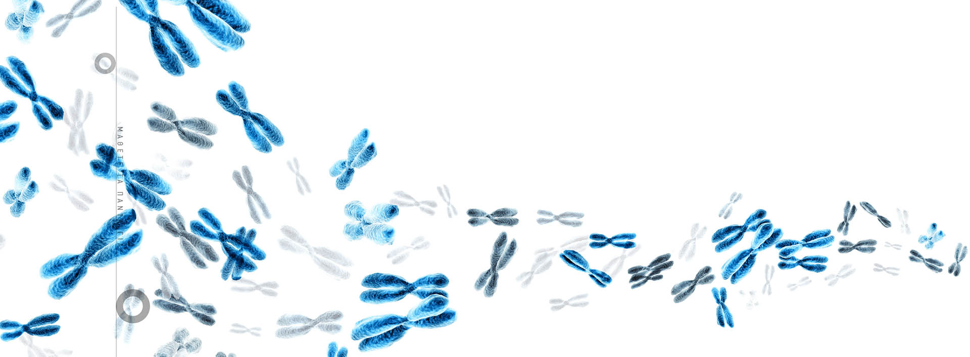 Sitogenetik detail 2